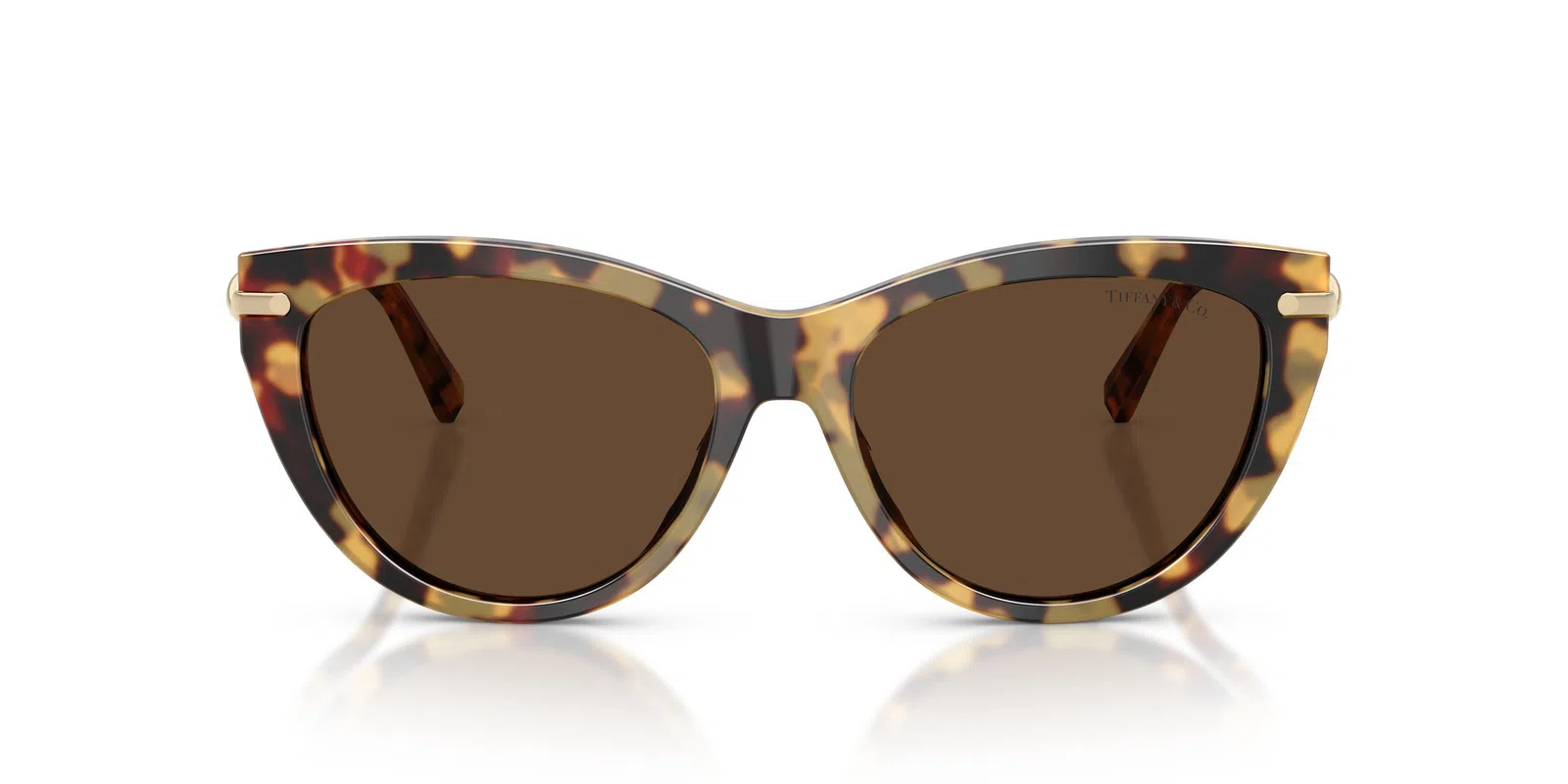 Tiffany 4253F Sunglasses - view 12